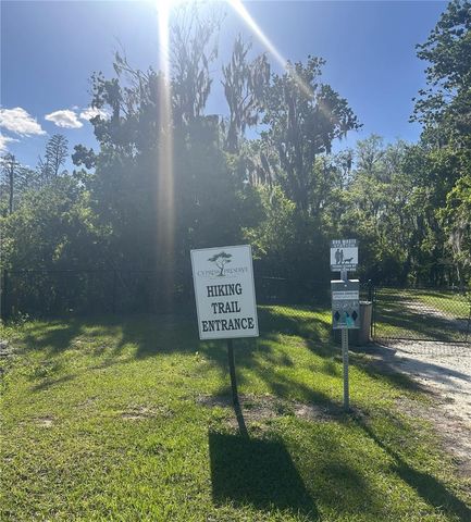 10495 GLIDING EAGLE WAY, Land O Lakes, FL 34638