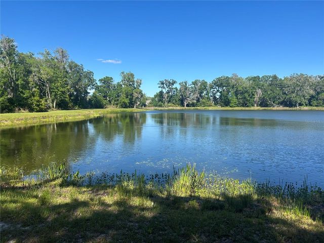 10495 GLIDING EAGLE WAY, Land O Lakes, FL 34638