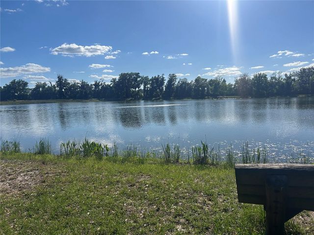 10495 GLIDING EAGLE WAY, Land O Lakes, FL 34638