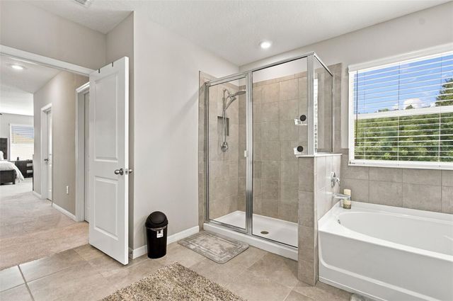 11035 LAXER CAY LOOP, San Antonio, FL 33576