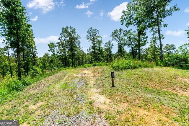LT 160 Shallow Water Trail, Talking Rock, GA 30175