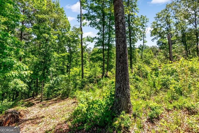 LT 160 Shallow Water Trail, Talking Rock, GA 30175