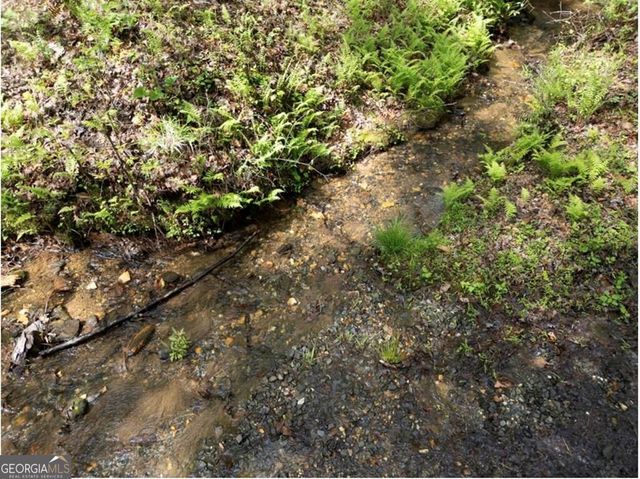 LT 160 Shallow Water Trail, Talking Rock, GA 30175