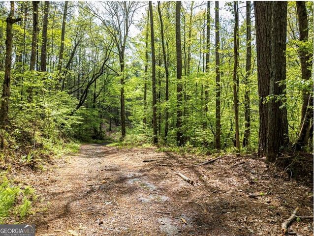 LT 160 Shallow Water Trail, Talking Rock, GA 30175