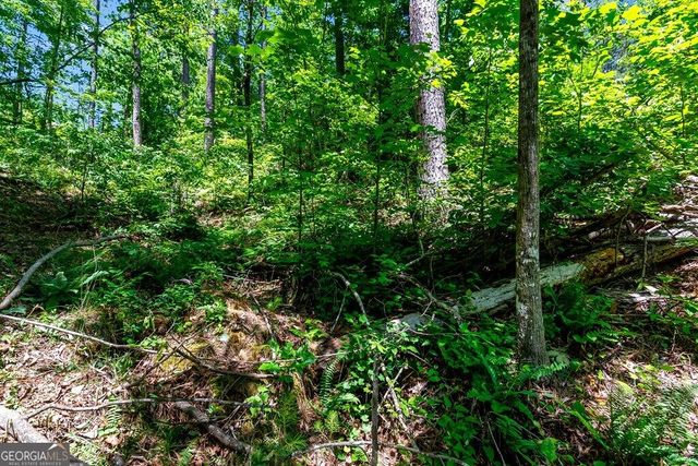 LT 160 Shallow Water Trail, Talking Rock, GA 30175