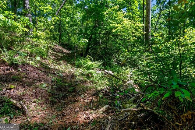 LT 160 Shallow Water Trail, Talking Rock, GA 30175