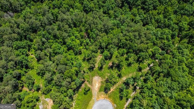 LT 160 Shallow Water Trail, Talking Rock, GA 30175