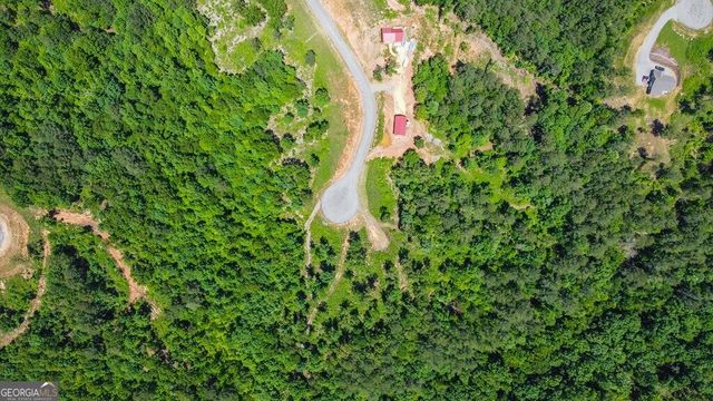 LT 160 Shallow Water Trail, Talking Rock, GA 30175