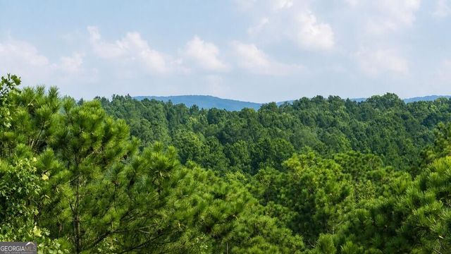LT 160 Shallow Water Trail, Talking Rock, GA 30175
