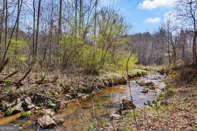 LT 160 Shallow Water Trail, Talking Rock, GA 30175