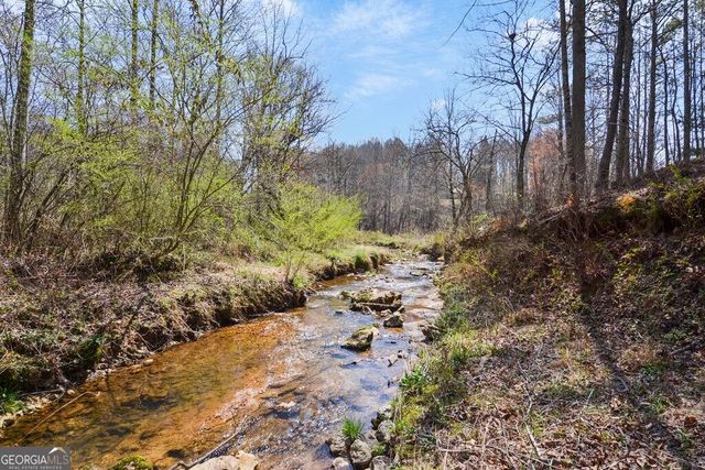 LT 160 Shallow Water Trail, Talking Rock, GA 30175