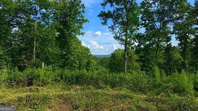 LT 160 Shallow Water Trail, Talking Rock, GA 30175