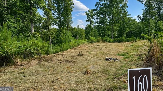 LT 160 Shallow Water Trail, Talking Rock, GA 30175
