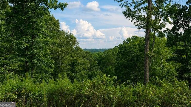 LT 160 Shallow Water Trail, Talking Rock, GA 30175