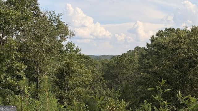 LT 160 Shallow Water Trail, Talking Rock, GA 30175