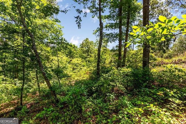 LT 160 Shallow Water Trail, Talking Rock, GA 30175