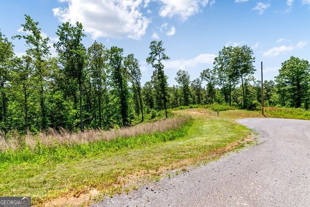 LT 160 Shallow Water Trail, Talking Rock, GA 30175