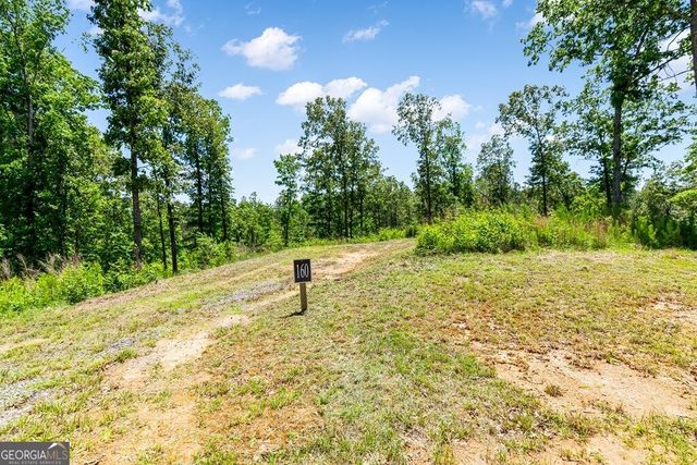 LT 160 Shallow Water Trail, Talking Rock, GA 30175