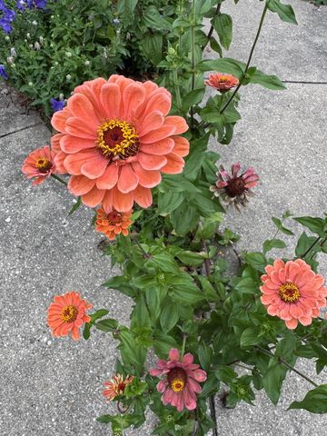 825 Sutherland Avenue, Janesville, WI 53545