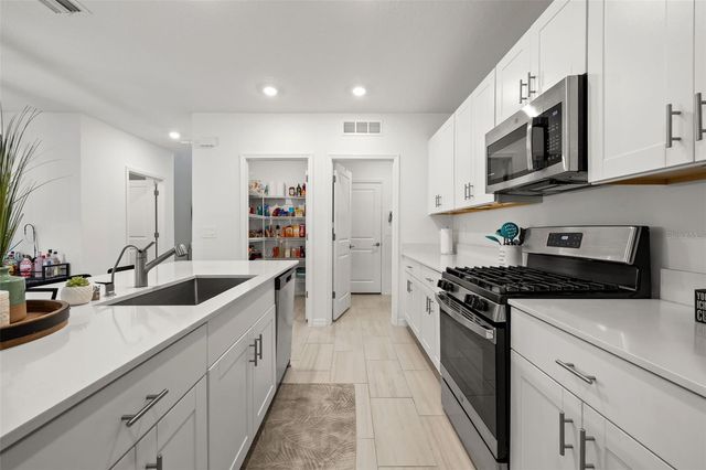 22312 PLEASANT MORNING DRIVE, Land O Lakes, FL 34637