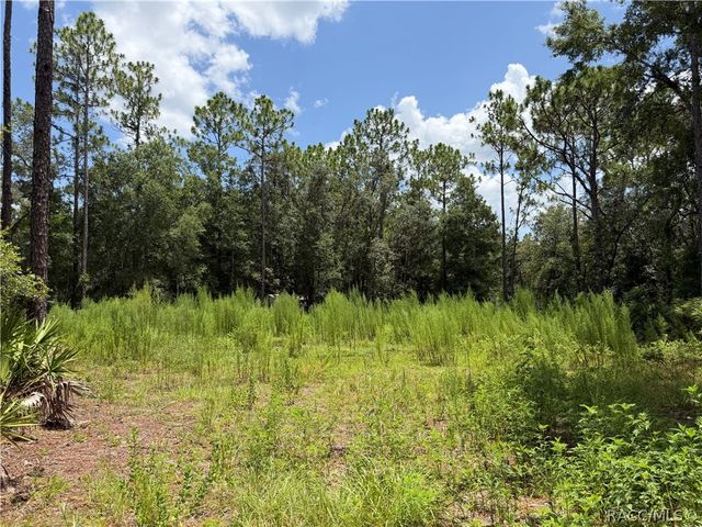 6712 W Macopin Lane, Crystal River, FL 34429