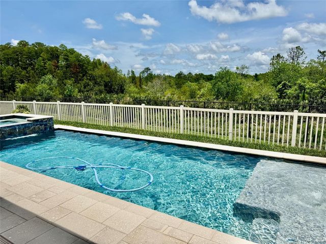 18233 ROSEATE DRIVE, Lutz, FL 33558