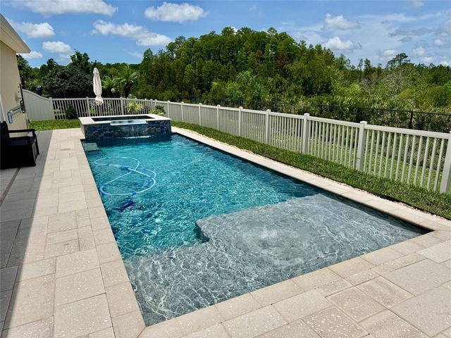18233 ROSEATE DRIVE, Lutz, FL 33558