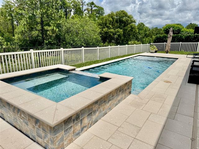 18233 ROSEATE DRIVE, Lutz, FL 33558