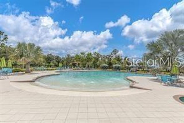 17010 YELLOW PINE STREET, Wimauma, FL 33598
