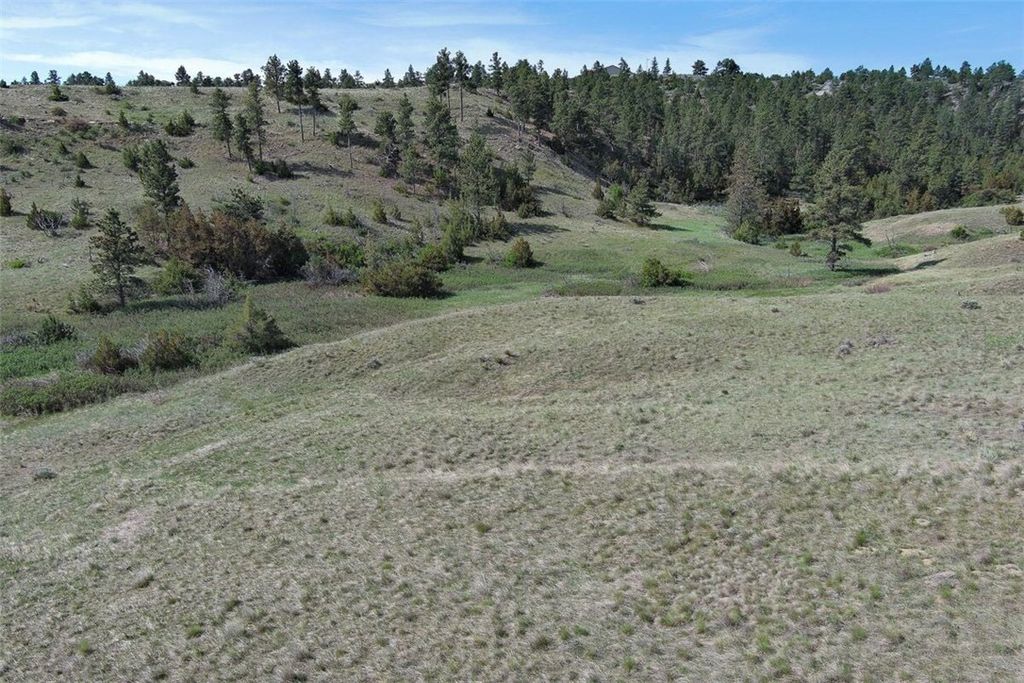 TBA Buffalo Trail Rd., Molt, MT 59057 photo 11