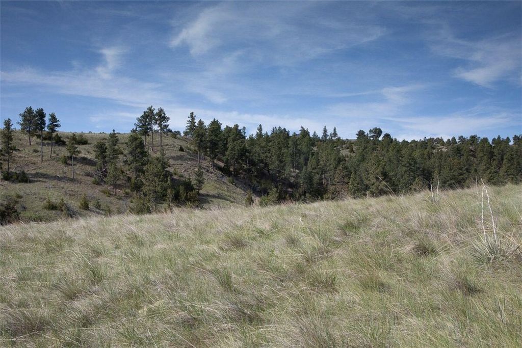 TBA Buffalo Trail Rd., Molt, MT 59057 photo 12