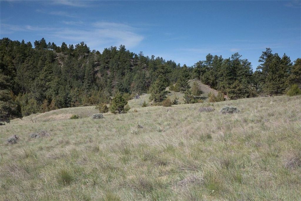 TBA Buffalo Trail Rd., Molt, MT 59057 photo 13