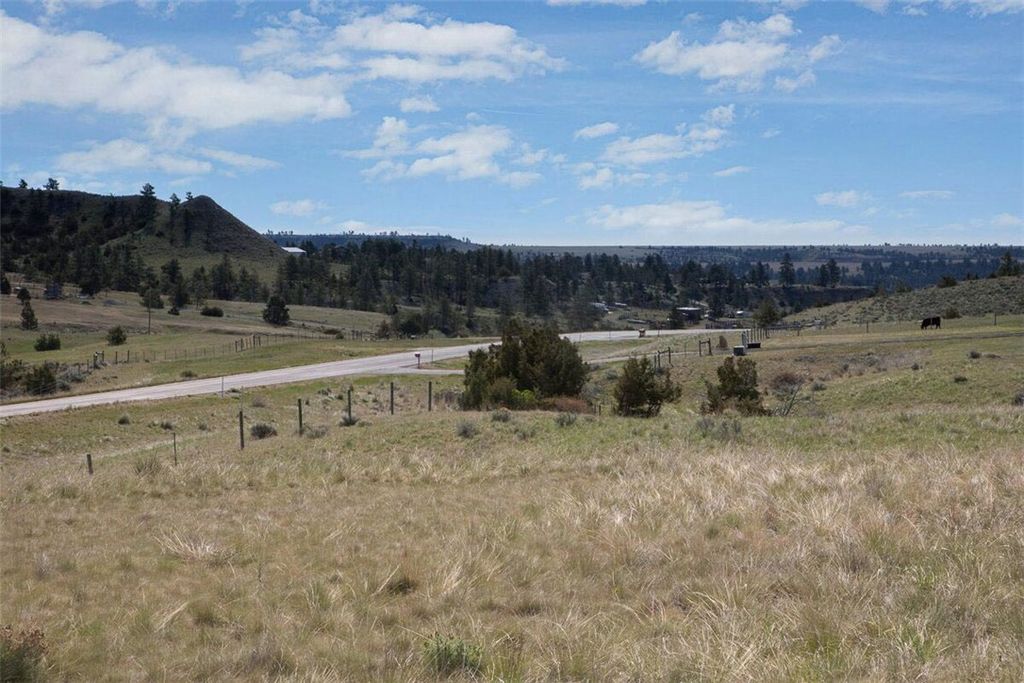 TBA Buffalo Trail Rd., Molt, MT 59057 photo 15