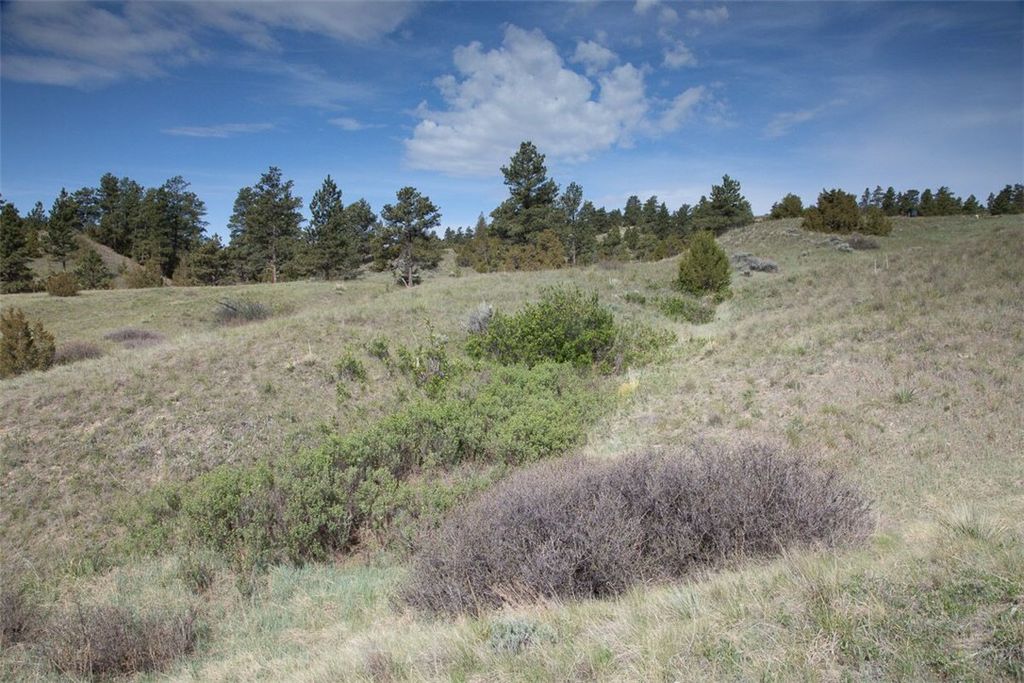 TBA Buffalo Trail Rd., Molt, MT 59057 photo 18