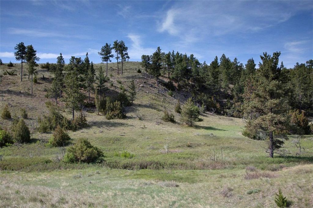 TBA Buffalo Trail Rd., Molt, MT 59057 photo 19