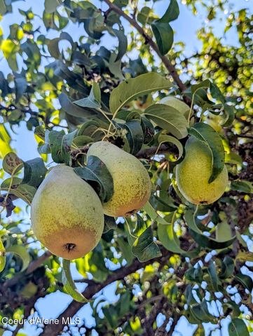 2405 Deer Park Rd, Bonners Ferry, ID 83805