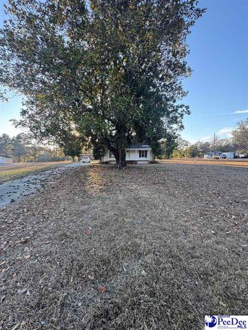 62 Highway 102, Chesterfield, SC 29709