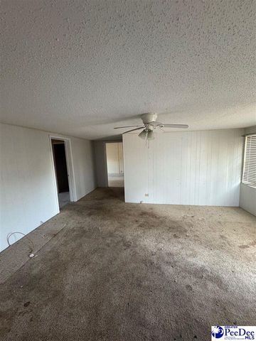 62 Highway 102, Chesterfield, SC 29709