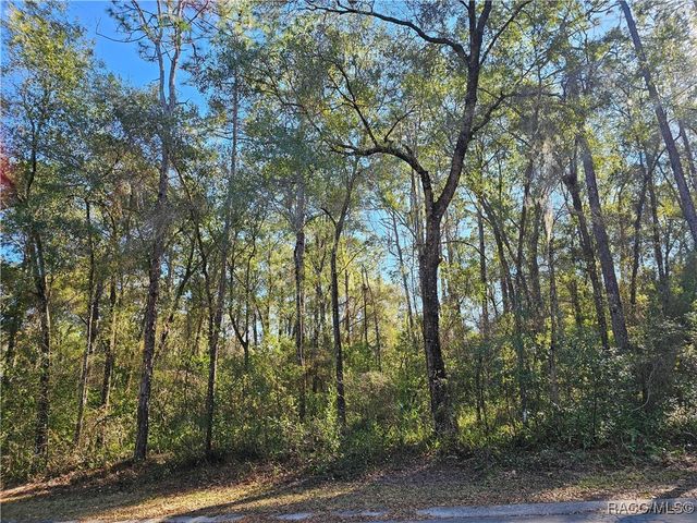 6342 E Glover Street, Inverness, FL 34452