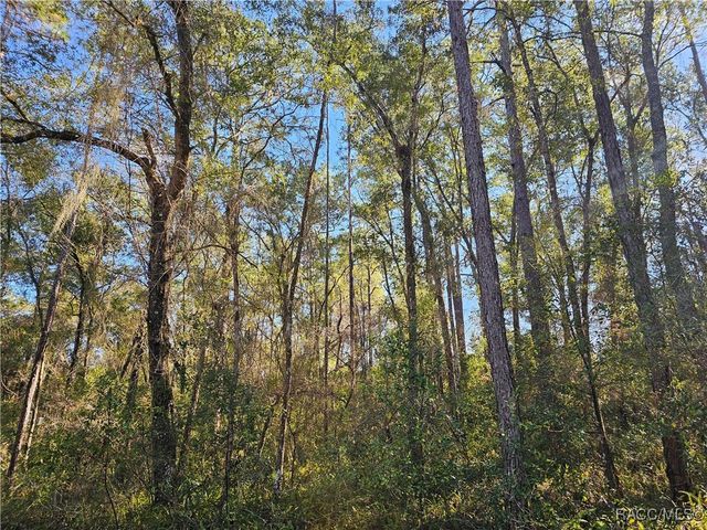 6342 E Glover Street, Inverness, FL 34452