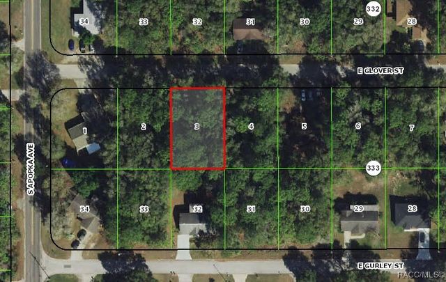 6342 E Glover Street, Inverness, FL 34452