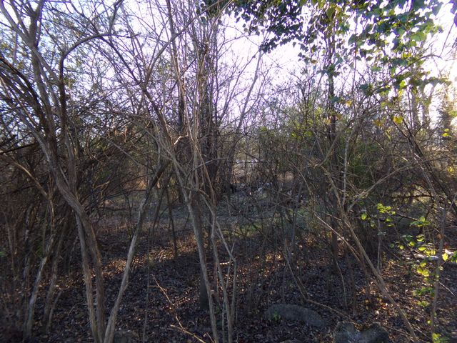 826 W Church St, Lewisburg, TN 37091