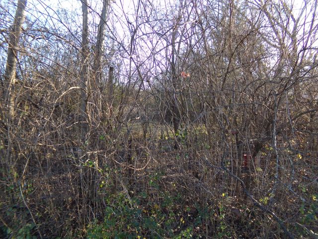 826 W Church St, Lewisburg, TN 37091