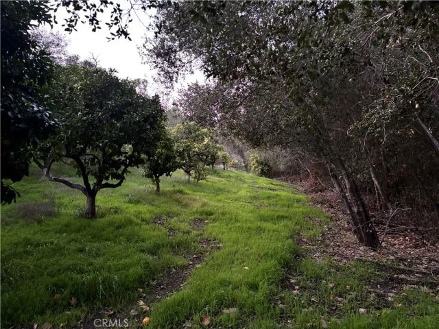 26055 Avenida Del Oro, Temecula, CA 92590