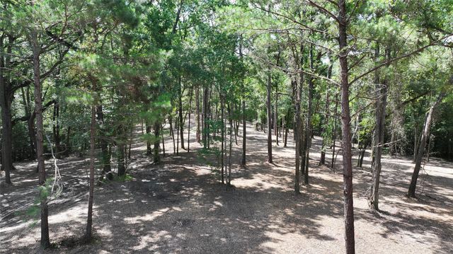 TBD Hwy 190, Point Blank, TX 77364
