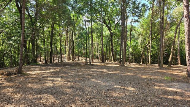TBD Hwy 190, Point Blank, TX 77364