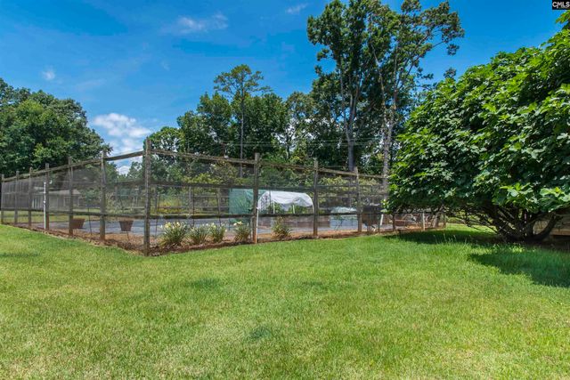 142 Ballentine Lane, Chapin, SC 29036