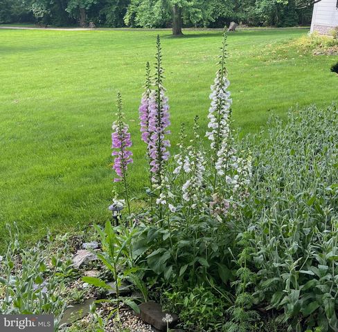 630 WASHINGTON LN, Jenkintown, PA 19046