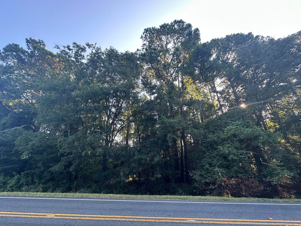 Lot 3a Elberton Highway, Lincolnton, GA 30817