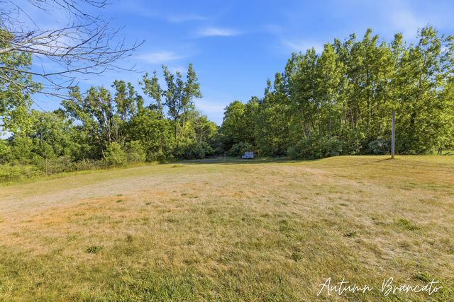 3350 Egner Street Ne, Solon Twp, MI 49319